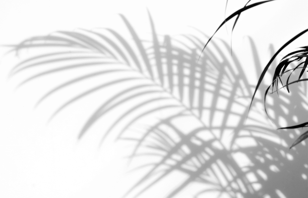 siiha mind body health siiha mind body health