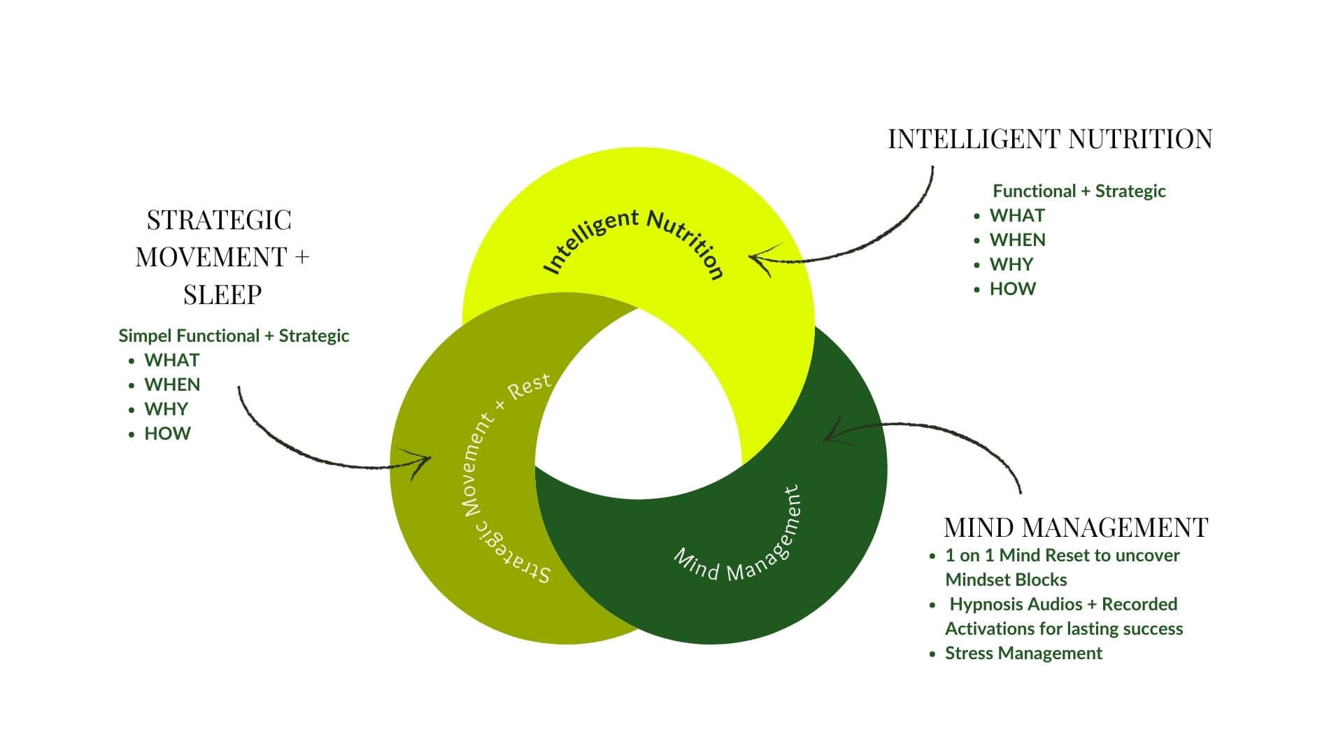 the body reset by Sabina Sulovsky